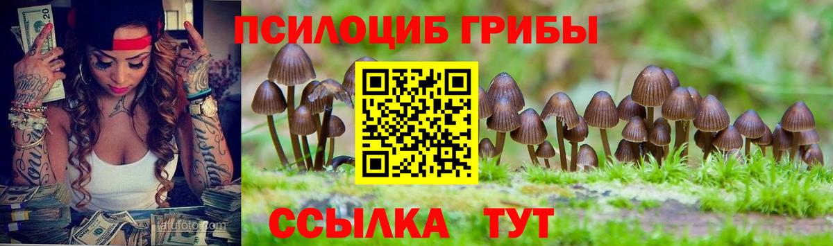 как найти   Вход с VPN  Учалы  Галлюциногенные грибы ЛСД  Псилоцибиновые грибы Magic Shrooms 